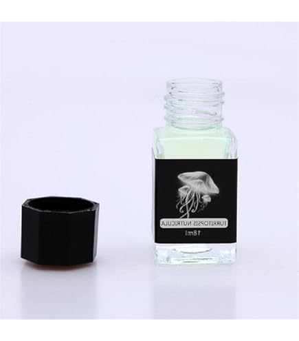 Amazon | Noodler's インビジブル万年筆インク バレットプルーフ 青